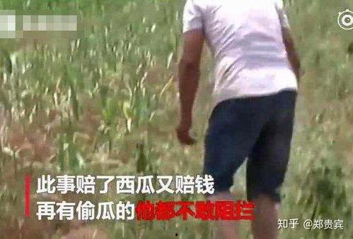 容城吃瓜事件真相视频,揭秘真相背后的惊人内幕  第3张