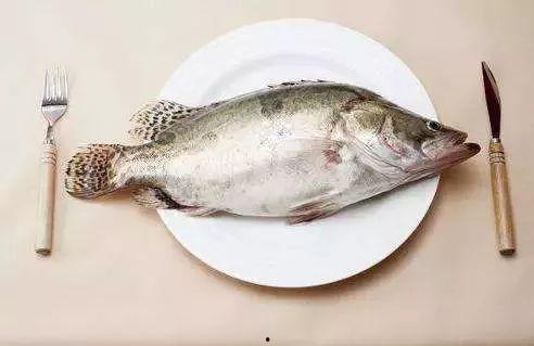 鱼吃葫芦瓜吗会死吗视频,葫芦瓜成鱼“致命毒药”？揭秘鱼儿食用后的生死之谜  第3张