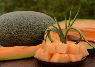 韩国人吃哈密瓜视频,哈密瓜新吃法，引发网友热议  第3张