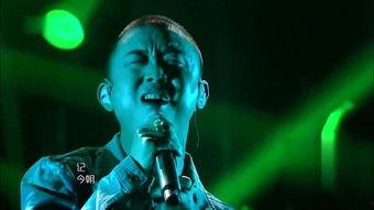 吃瓜群众看歌手视频,视频中的音乐魅力