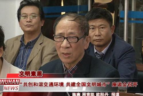 朝阳吃瓜群众事件真相视频,真相视频全解析  第2张