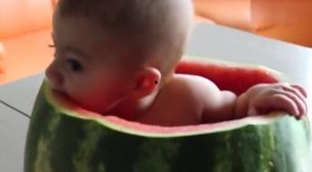 吃瓜的小孩儿视频,揭秘吃瓜小孩儿的欢乐时光  第3张