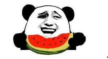 乖乖动感吃瓜视频下载,视频下载带你领略潮流瞬间  第3张