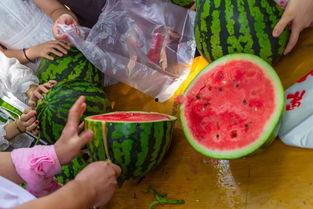 吃瓜视频的日常,揭秘娱乐圈幕后故事  第3张