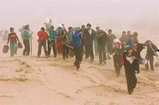 甘肃武威民勤吃瓜事件视频,甘肃民勤“吃瓜事件”引发社会关注