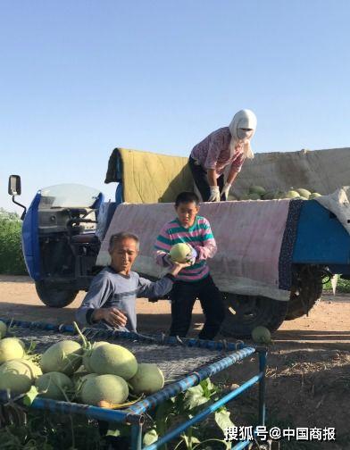 甘肃武威民勤吃瓜事件视频,甘肃民勤“吃瓜事件”引发社会关注  第2张