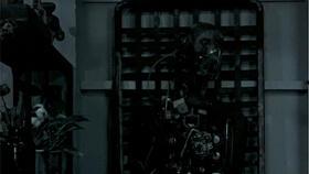 步行街吃瓜视频在线播放,步行街吃瓜视频，带你领略人间烟火气  第3张