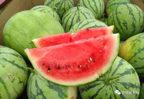 汾阳今日吃瓜事件视频