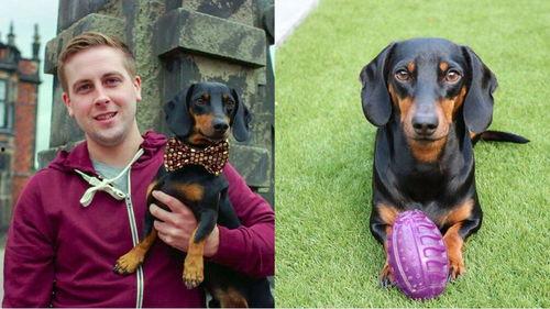 喂狗吃瓜群众视频播放在线观看  第3张