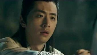 吃瓜群众小龙女视频,揭秘娱乐圈幕后真相  第3张