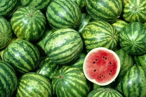 山东人吃瓜不吐籽吗视频,地域饮食文化揭秘  第2张