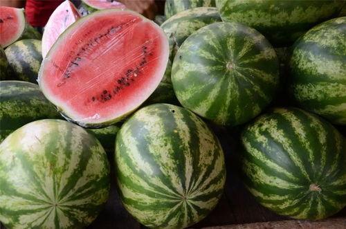 山东人吃瓜不吐籽吗视频,地域饮食文化揭秘  第3张