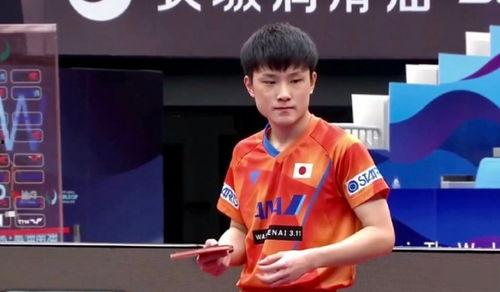 张本智和吃瓜完整视频,揭秘乒乓球天才的日常生活趣事  第2张