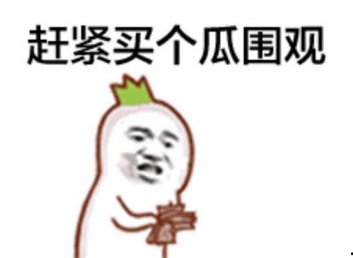 吃瓜群众小老六视频,揭秘娱乐圈幕后真相