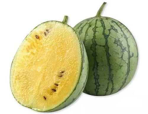 公园板凳吃瓜视频下载,揭秘幕后下载攻略