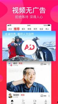 瓜哥吃货视频大全播放下载,海量美食盛宴，一键下载尽享美味时光  第2张