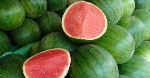 三人吃瓜比赛视频下载,三人吃瓜大赛精彩瞬间回顾  第3张