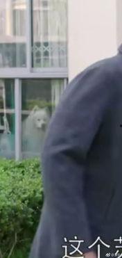 吃瓜群众四川人视频,揭秘麻辣生活背后的趣味与温情  第2张