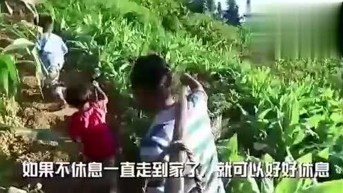回民阿娘吃瓜视频大全,吃瓜视频大全趣味盘点