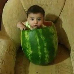 回民阿娘吃瓜视频大全,吃瓜视频大全趣味盘点  第2张