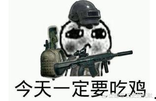 小脑袋瓜吃鸡视频  第3张