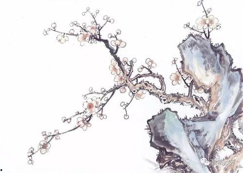 梅花七吃瓜视频云盘,揭秘视频云盘背后的精彩故事  第2张