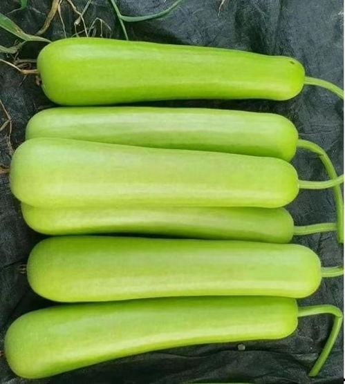 吃的蒲瓜要扒皮吗视频,视频教你轻松扒皮技巧  第2张