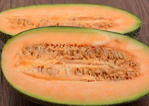 山东人吃新疆哈密瓜视频  第2张