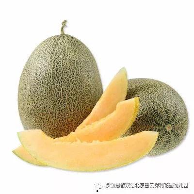 山东人吃新疆哈密瓜视频  第3张