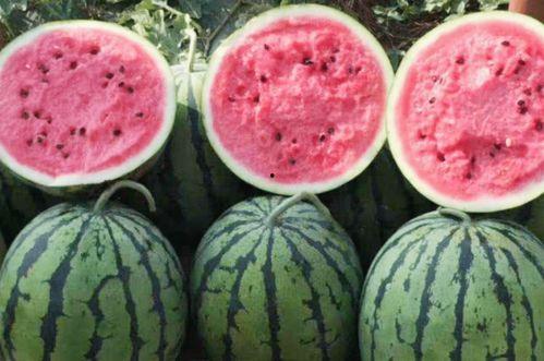 水东街吃瓜视频,揭秘街头美食背后的故事  第2张