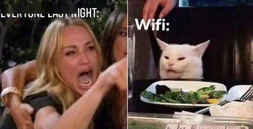 推特怎么看吃瓜视频,揭秘吃瓜视频背后的热门话题与现象”  第2张