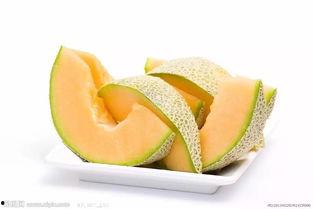 骆驼吃哈密瓜视频,骆驼品尝哈密瓜的趣味瞬间  第2张