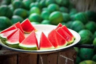 很火吃瓜视频素材网站,海量素材，一网打尽！  第3张