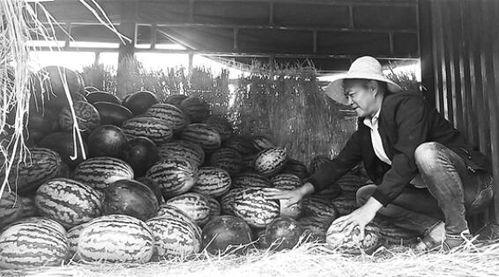 万源吃瓜群众事件视频,一场网络舆论的风暴与反思  第2张