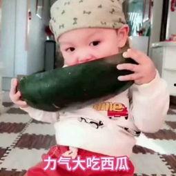 吃瓜软件儿童视频动画,吃瓜软件儿童视频，寓教于乐新体验  第3张