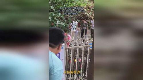 吃瓜群众演示视频大全,趣味横生的社会百态缩影  第2张