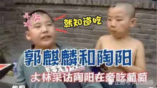 吃瓜群众演示视频大全,趣味横生的社会百态缩影  第3张