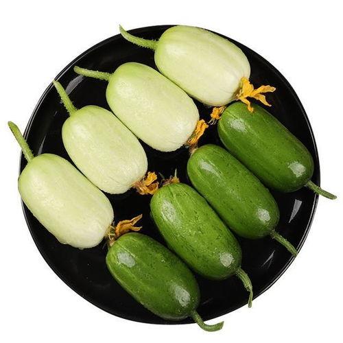 葫芦瓜怎么吃才好喝视频,解锁美味养生新体验