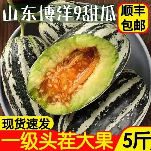 单县吃瓜视频,揭秘当地特色美食背后的故事  第2张