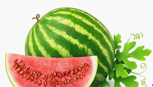 瓜仔吃鸡素材视频大全高清,高清素材视频大全精彩回顾  第3张