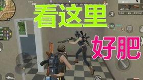 cf媛崽好困吃瓜视频,揭秘网红日常幕后趣事  第3张