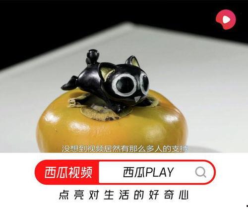 雕刻师吃瓜视频  第3张