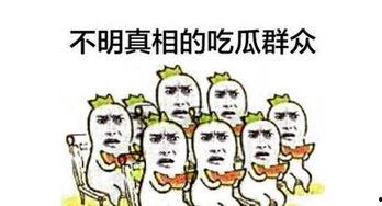 关于群众吃瓜视频