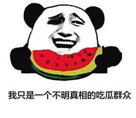 关于群众吃瓜视频  第3张