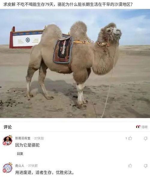 吃瓜网友小骆驼视频下载,揭秘热门话题背后的真相  第3张