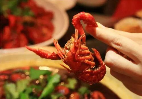 刘大瓜吃龙虾视频,一场味蕾与视觉的双重盛宴