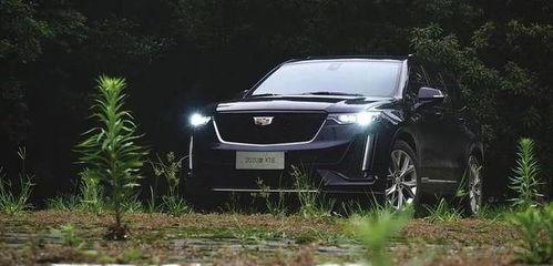 凯迪拉克销售吃瓜视频,一场别开生面的汽车营销秀