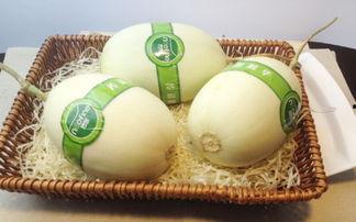 吃白玉瓜视频大全,视频大全带你领略美味瞬间