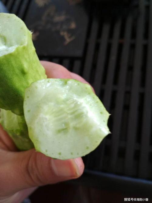 吃白玉瓜视频大全,视频大全带你领略美味瞬间  第2张