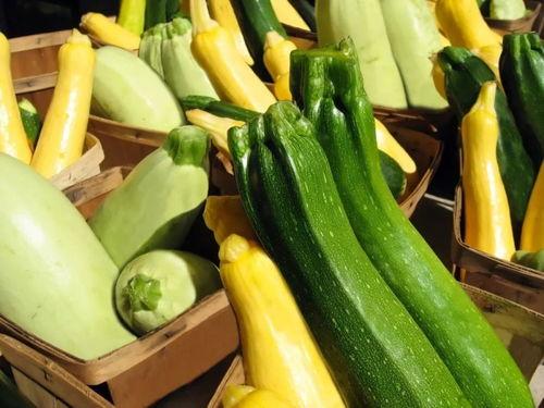 多种吃瓜的视频大全集,笑料百出，揭秘娱乐圈幕后故事  第3张